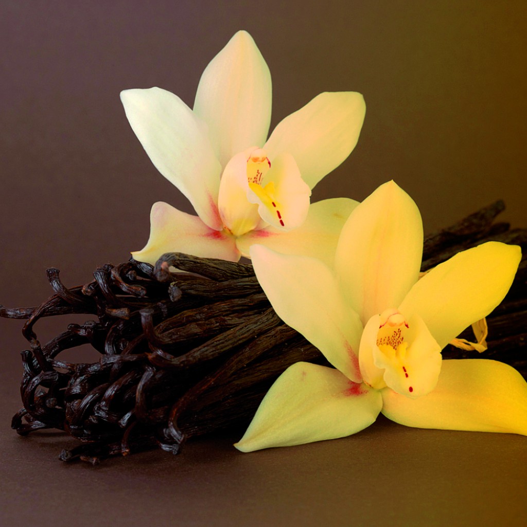 Vanilla